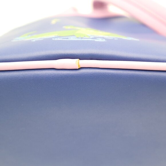 Loungefly Disney's Peter Pan Small Backpack Collectors Pack Great Condition 70th - Picture 16 of 16